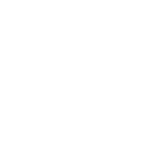 CENTRO STUDI QUANTICA - Scuola di Kinesiologia Applicata e Osteopatia